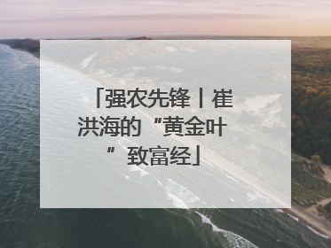 强农先锋丨崔洪海的“黄金叶”致富经