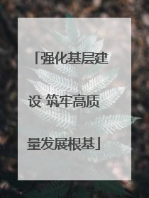 强化基层建设 筑牢高质量发展根基