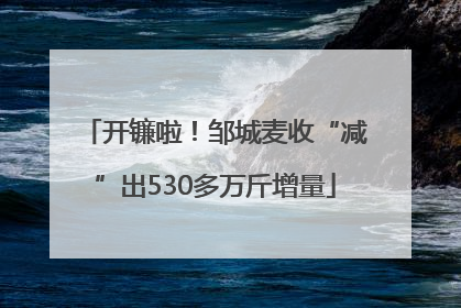 开镰啦！邹城麦收“减”出530多万斤增量