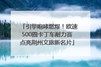 引擎咆哮燃爆！欧速500圈卡丁车耐力赛点亮荆州文旅新名片