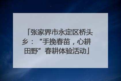 张家界市永定区桥头乡：“手挽春苗，心耕田野”春耕体验活动