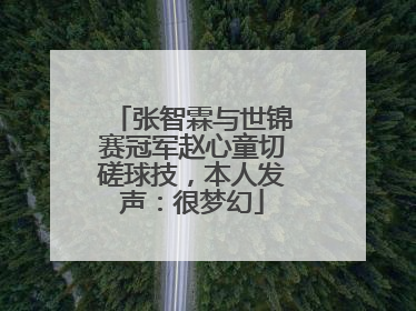 张智霖与世锦赛冠军赵心童切磋球技，本人发声：很梦幻