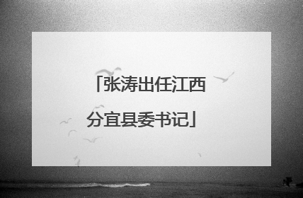张涛出任江西分宜县委书记