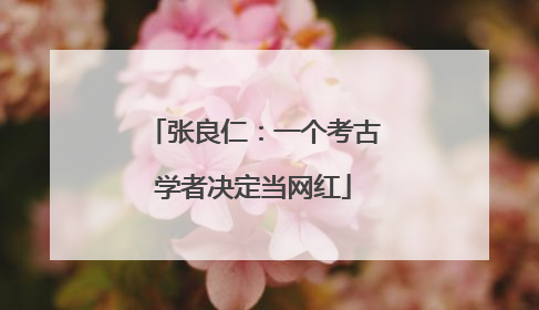 张良仁：一个考古学者决定当网红