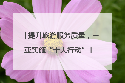 提升旅游服务质量，三亚实施“十大行动”
