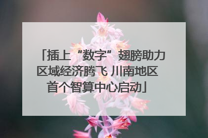 插上“数字”翅膀助力区域经济腾飞 川南地区首个智算中心启动