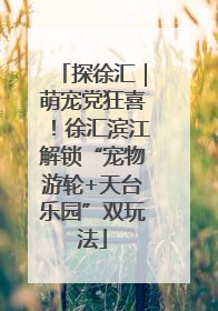探徐汇｜萌宠党狂喜！徐汇滨江解锁“宠物游轮+天台乐园”双玩法