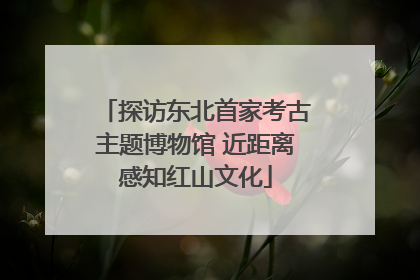 探访东北首家考古主题博物馆 近距离感知红山文化