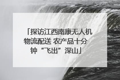 探访江西南康无人机物流配送 农产品十分钟“飞出”深山