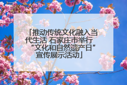 推动传统文化融入当代生活 石家庄市举行“文化和自然遗产日”宣传展示活动