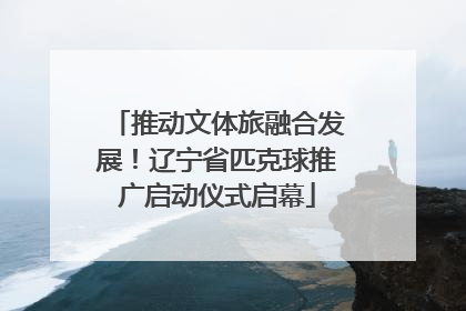 推动文体旅融合发展！辽宁省匹克球推广启动仪式启幕