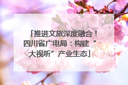 推进文旅深度融合！四川省广电局：构建“大视听”产业生态
