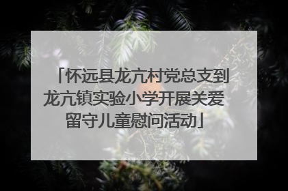 怀远县龙亢村党总支到龙亢镇实验小学开展关爱留守儿童慰问活动