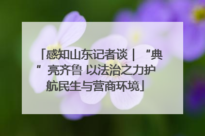 感知山东记者谈｜“典”亮齐鲁 以法治之力护航民生与营商环境
