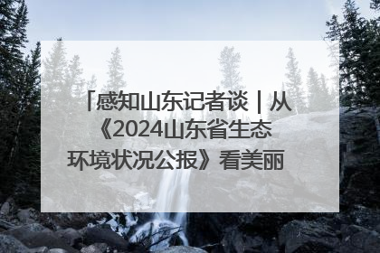 感知山东记者谈｜从《2024山东省生态环境状况公报》看美丽山东建设的“成绩单”与“任务书”