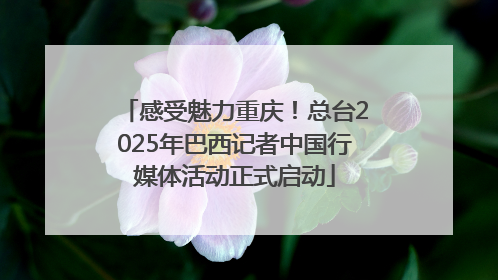 感受魅力重庆！总台2025年巴西记者中国行媒体活动正式启动
