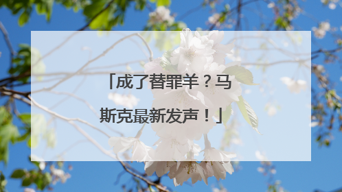 成了替罪羊？马斯克最新发声！