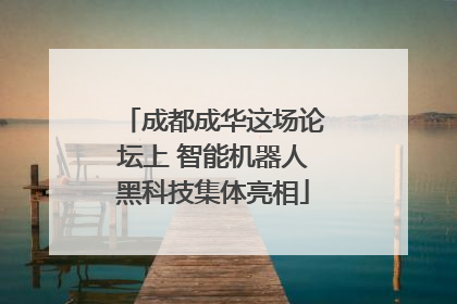 成都成华这场论坛上 智能机器人黑科技集体亮相