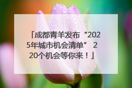 成都青羊发布“2025年城市机会清单” 220个机会等你来！