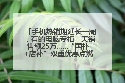 手机热销期延长一周，有的电脑专柜一天销售额25万……“国补+店补”双重优惠点燃德州“考后经济”