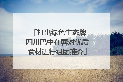 打出绿色生态牌 四川巴中在蓉对优质食材进行组团推介