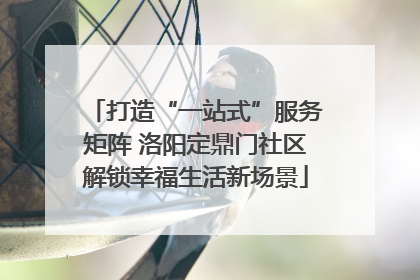 打造“一站式”服务矩阵 洛阳定鼎门社区解锁幸福生活新场景