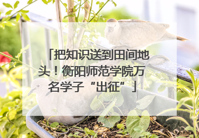 把知识送到田间地头！衡阳师范学院万名学子“出征”