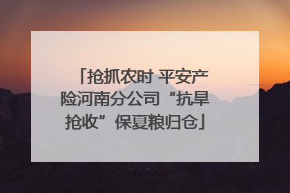 抢抓农时 平安产险河南分公司“抗旱抢收”保夏粮归仓