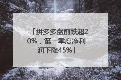 拼多多盘前跌超20%，第一季度净利润下降45%