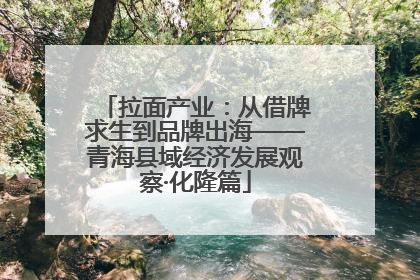 拉面产业：从借牌求生到品牌出海——青海县域经济发展观察·化隆篇