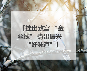 挂出致富 “金丝线” 煮出振兴“好味道”