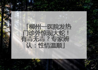 柳州一医院发热门诊外惊现大蛇！有毒无毒？专家辨认：性情温顺