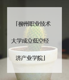 柳州职业技术大学成立低空经济产业学院
