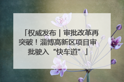 权威发布｜审批改革再突破！淄博高新区项目审批驶入“快车道”