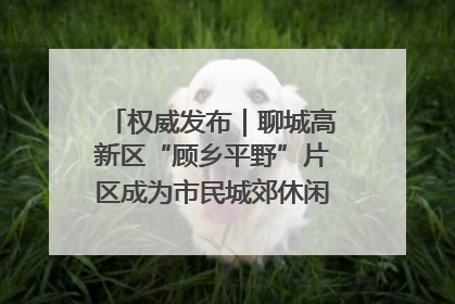 权威发布｜聊城高新区“顾乡平野”片区成为市民城郊休闲全新目的地