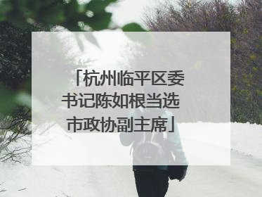 杭州临平区委书记陈如根当选市政协副主席