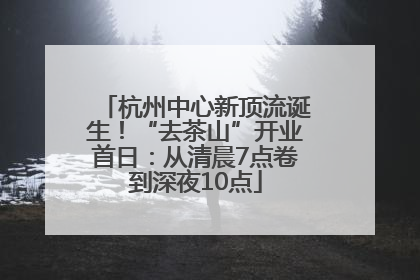 杭州中心新顶流诞生！“去茶山”开业首日：从清晨7点卷到深夜10点