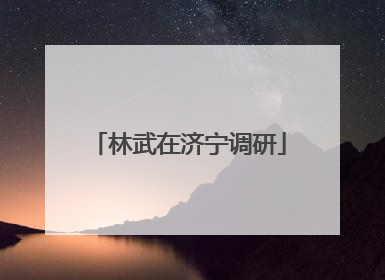 林武在济宁调研