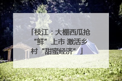 枝江：大棚西瓜抢“鲜”上市 激活乡村“甜蜜经济”