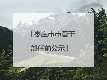 枣庄市市管干部任前公示