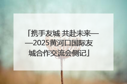 携手友城 共赴未来——2025黄河口国际友城合作交流会侧记