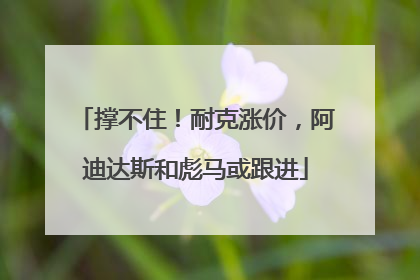 撑不住！耐克涨价，阿迪达斯和彪马或跟进