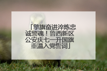 擎旗奋进淬炼忠诚警魂！鲁西新区公安庆七一升国旗 重温入党誓词