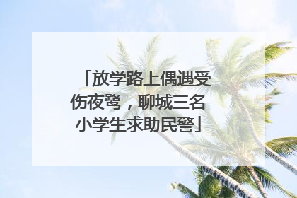 放学路上偶遇受伤夜鹭，聊城三名小学生求助民警