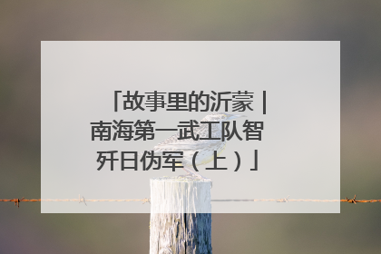 故事里的沂蒙｜南海第一武工队智歼日伪军（上）