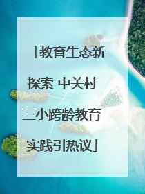 教育生态新探索 中关村三小跨龄教育实践引热议