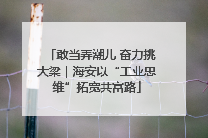 敢当弄潮儿 奋力挑大梁｜海安以“工业思维”拓宽共富路