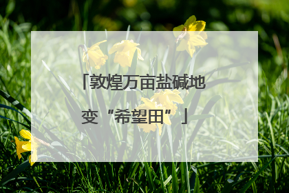 敦煌万亩盐碱地变“希望田”