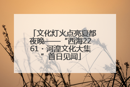 文化灯火点亮夏都夜晚——“西海2261・河湟文化大集”首日见闻