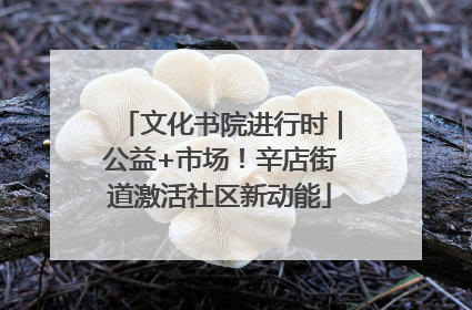 文化书院进行时｜公益+市场！辛店街道激活社区新动能